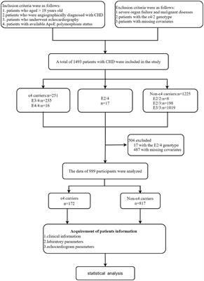 Effect of ApoE ε4 gene polymorphism on the correlation between serum uric acid and left ventricular hypertrophy remodeling in patients with coronary heart disease